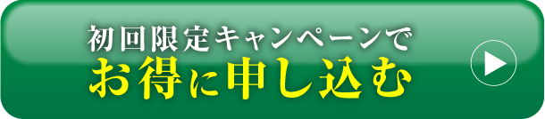 初回限定特別キャンペーンで一番お得に購入する